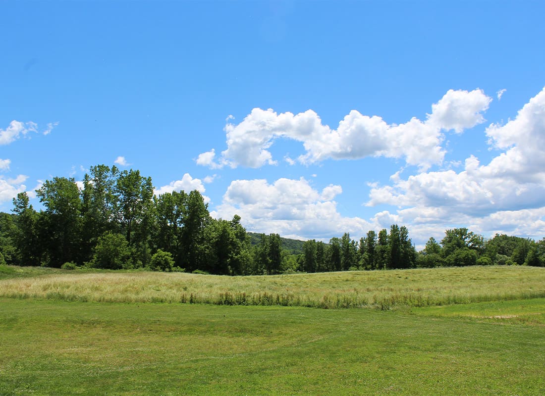 Ithaca, NY - Treelined Field and Bright Blue Sky With White Clouds in Ithaca, New York
